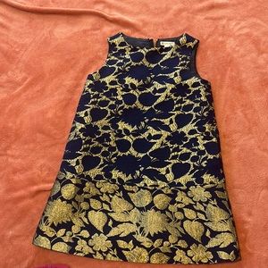 Crewcuts, brocade, a line, knee length sleeveless dress with zipper back closure